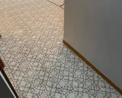 Patterned Carpet by Mohawk
