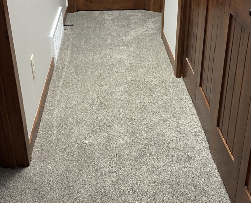 New Karastan Carpet