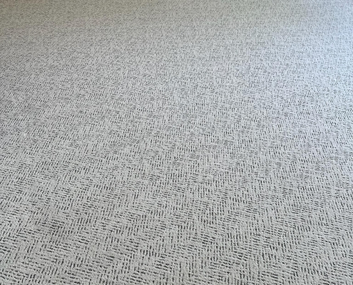 New Carpet Install