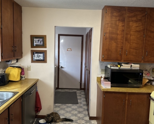 Kitchen Makeover - Before