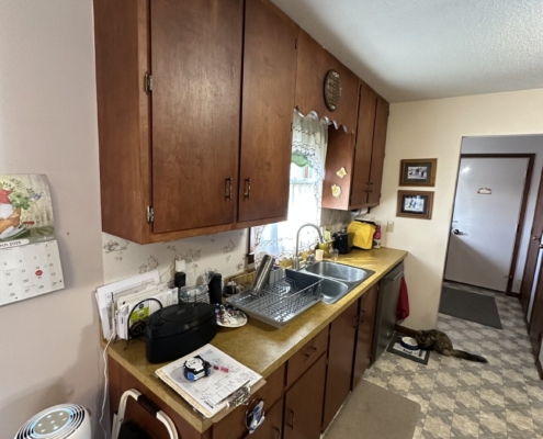 Kitchen Makeover - Before